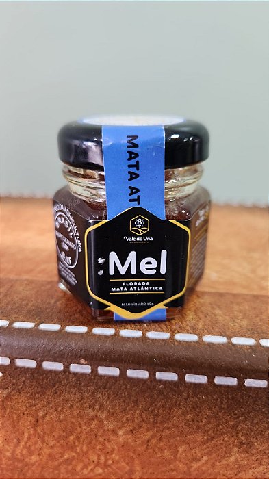 Mel silvestre Vale do Una Bioma Mata Atlântica - 40g