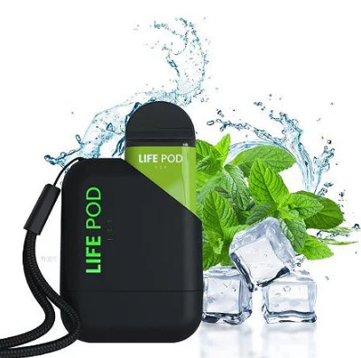 Life Pod Kit Spearmint 5.000 Puffs