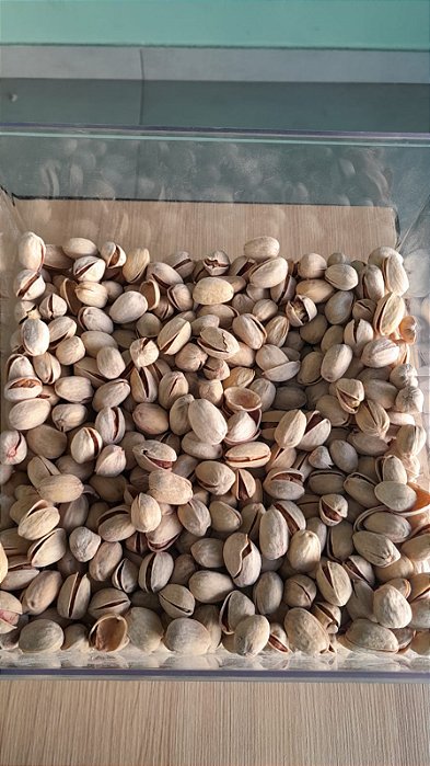 PISTACHE TORRADO E SALGADO COM CASCA - 100g