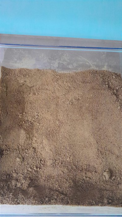 AÇÚCAR MASCAVO - 100g
