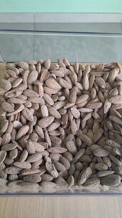 AMÊNDOA TORRADA COM SAL - 100g