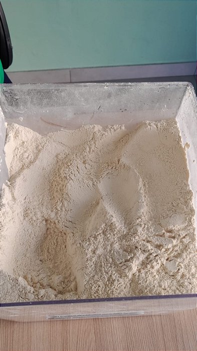 CEBOLA EM PÓ - 100g