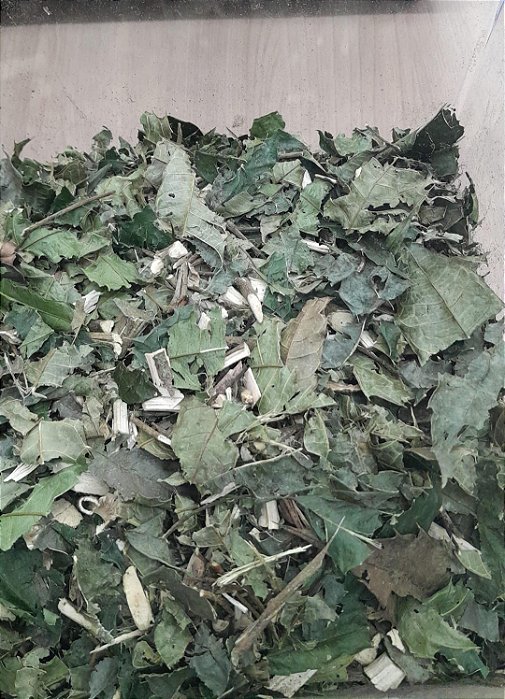 ESPINHEIRA SANTA - 100g