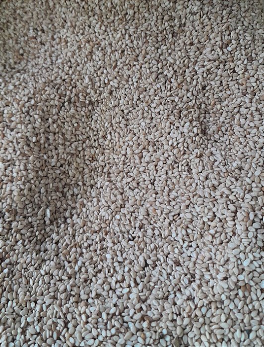 GERGELIM TORRADO - 100g