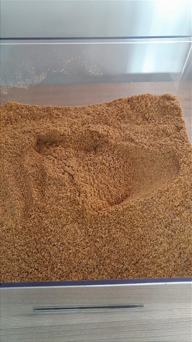 PIMENTA CAIENA - 100g