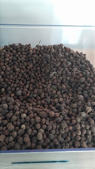 PIMENTA JAMAICA - 100g