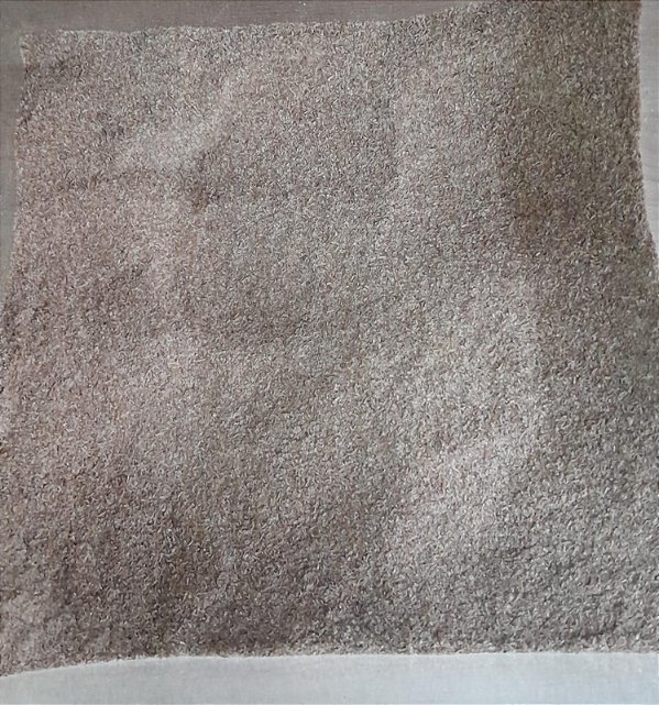 Psyllium - 100g