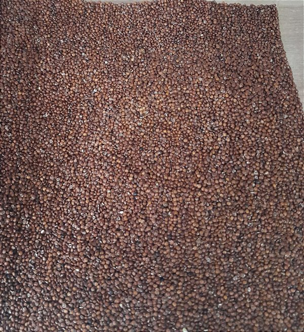 QUINOA VERMELHA GRÃO - 100g