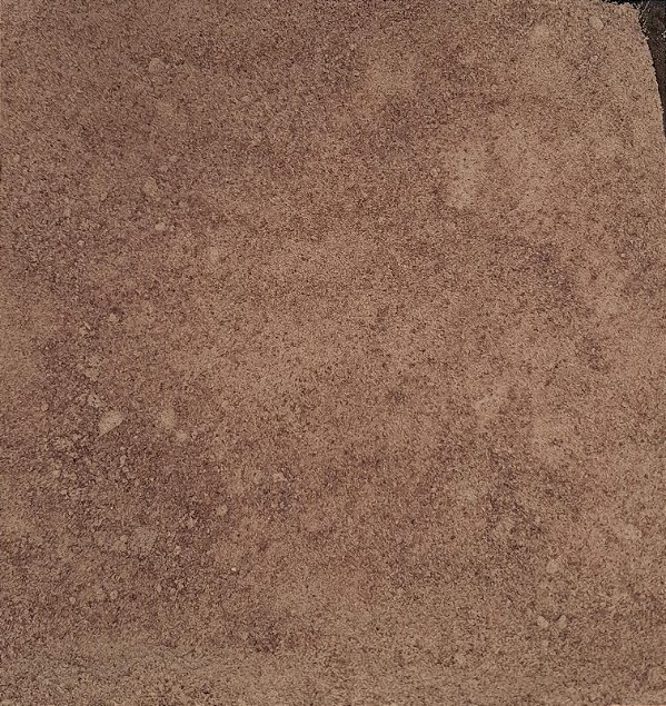 AÇÚCAR DE COCO - 100g