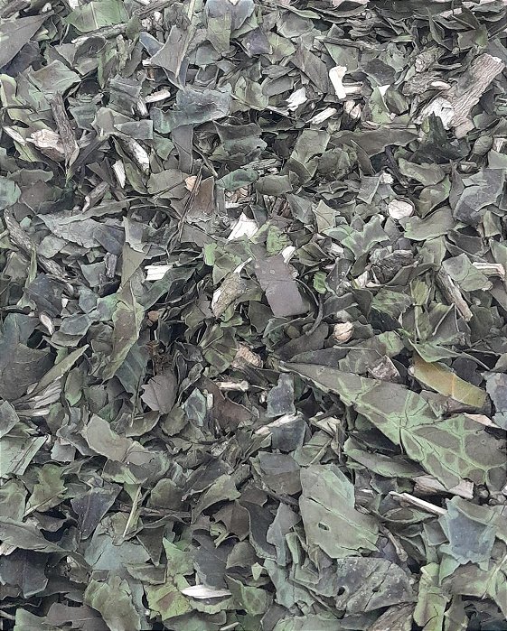CHÁ VERDE - 100g