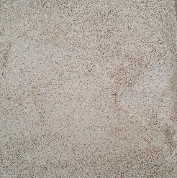 FARINHA DE AVEIA - 100g