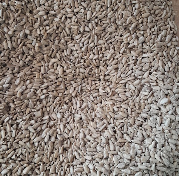 GIRASSOL PEPITA - 100g