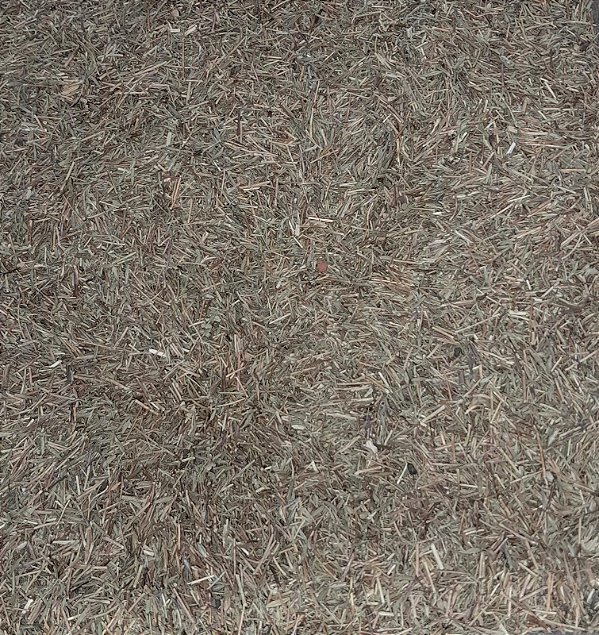 TOMILHO - 100g