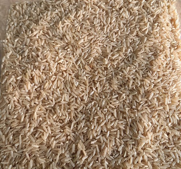 ARROZ INTEGRAL - 100g