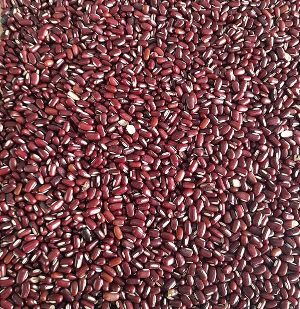 FEIJÃO AZUKI - 100g