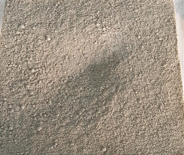 GINSENG EM PO - 100g