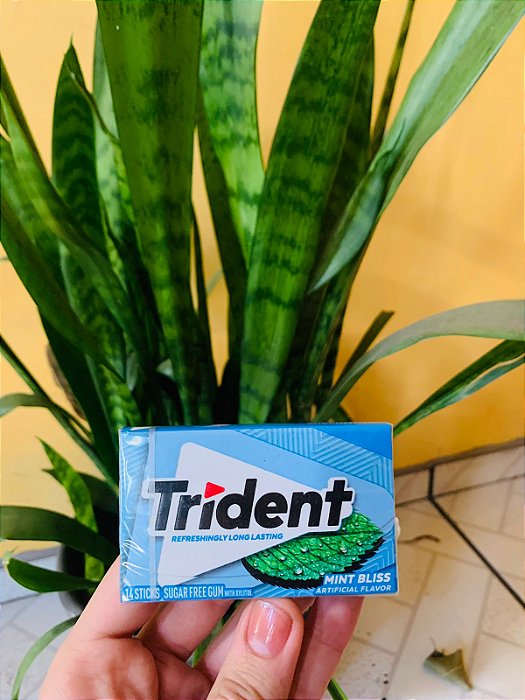 Trident Chicle Importado Mint Bliss