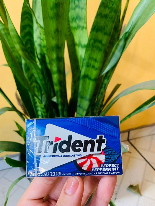 Trident Chicle Importado Peppermint