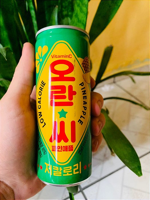 Suco Oriental de Abacaxi 250ml
