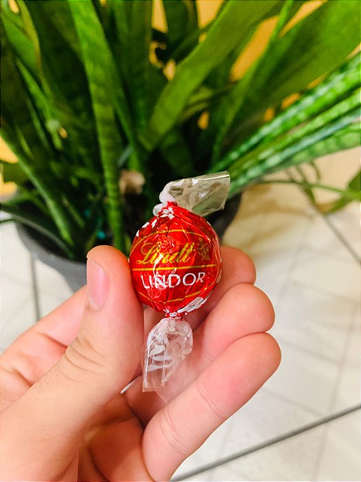 Lindt Chocolate Trufa Ao leite 12,5g