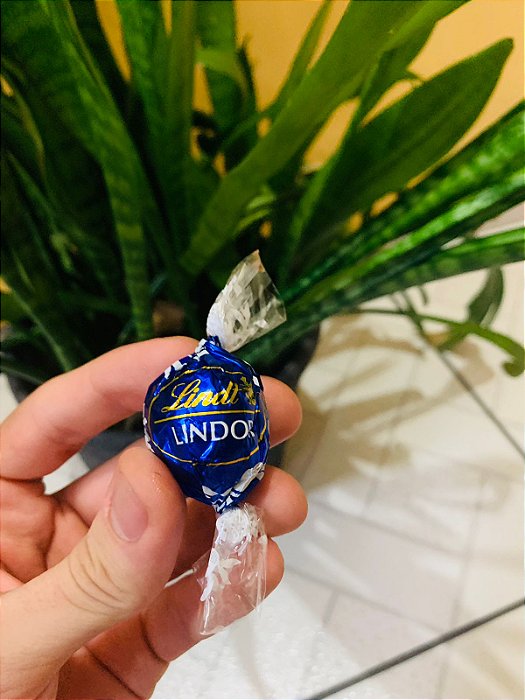 Lindt Chocolate Trufa Dark 49% Cacau 12,5g