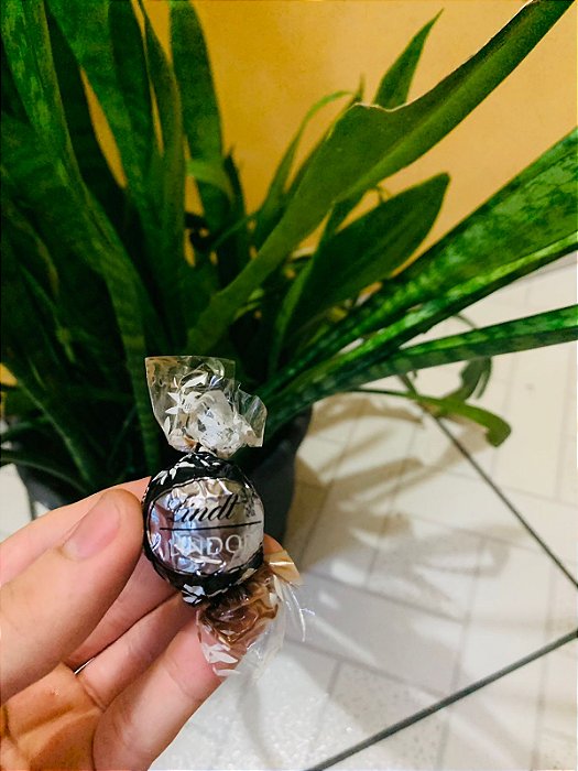 Lindt Chocolate Trufa Dark 60% Cacau 12,5g