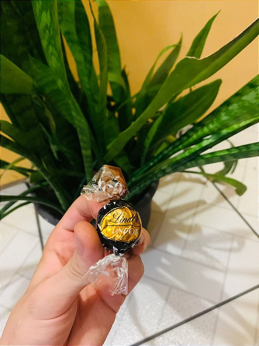 Lindt Chocolate Trufa Dark 70% Cacau 12,5g