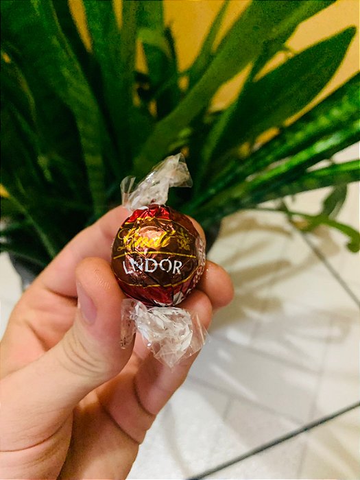 Lindt Chocolate Trufa Double Chocolate 12,5g