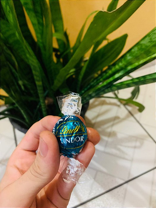 Lindt Chocolate Trufa Caramelo e Flor de Sal 12,5g