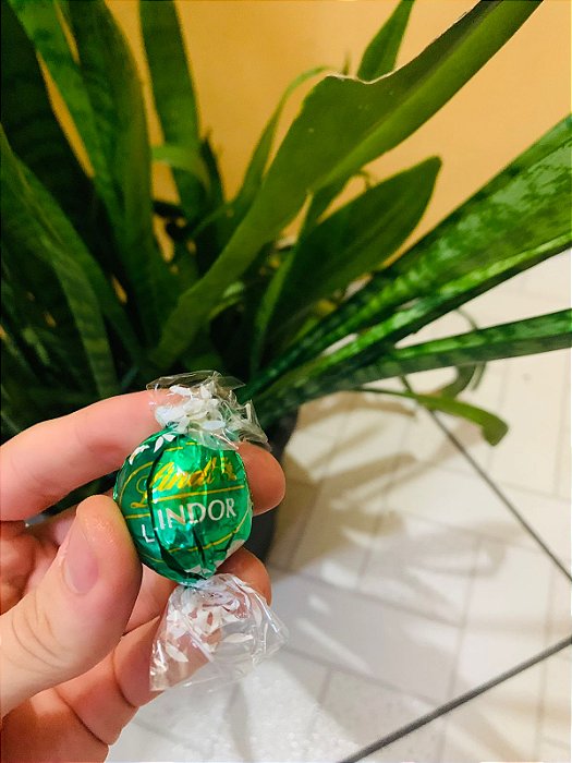 Lindt Chocolate Trufa Menta 12,5g
