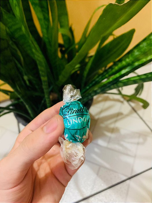 Lindt Chocolate Trufa Coco 12,5g
