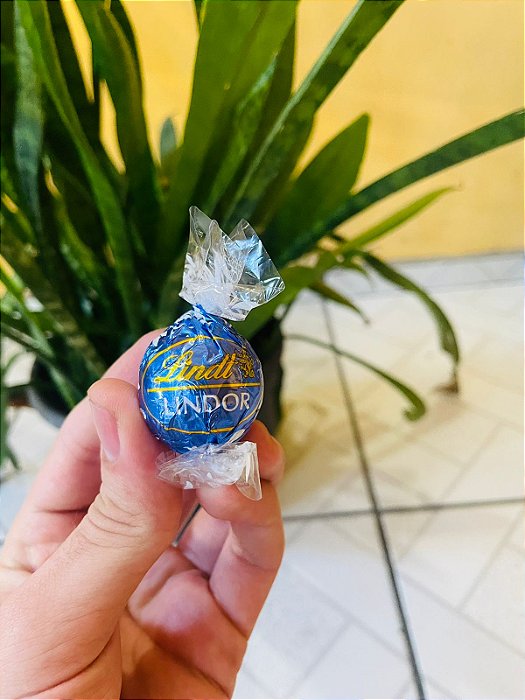 Lindt Chocolate Trufa Duo 12,5g