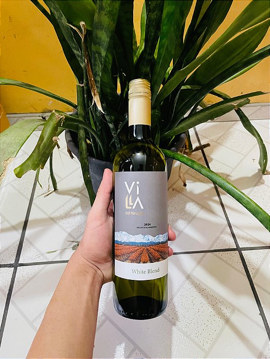Vinho Branco Villa del Nevado 750ml