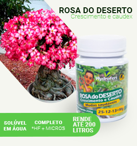 Fertilizante concentrado Rosa do Deserto Leudo Jr Mudas Saudáveis 200g