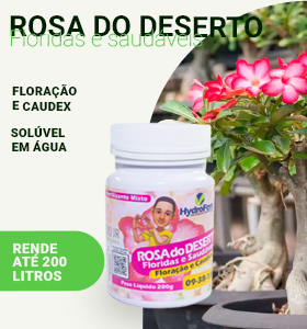 FERT. ROSA DO DESERTO FLORIDAS E SAUDAVEIS FLORAÇÃO E CAUDEX LEUDO JUNIOR 09-38-15 +CALCIO POTE 200G