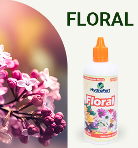 Fertilizante concentrado Floral 110ml