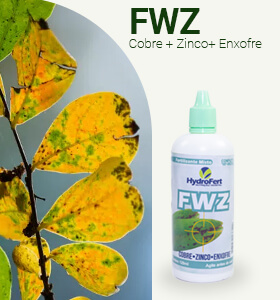 Fertilizante concentrado FWZ Cobre, Zinco e Enxofre 110ml