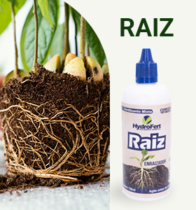 Fertilizante concentrado Raiz 120ml
