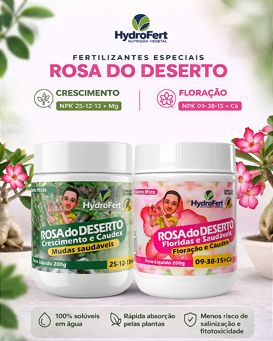 Kit Rosa do Deserto Leudo Junior
