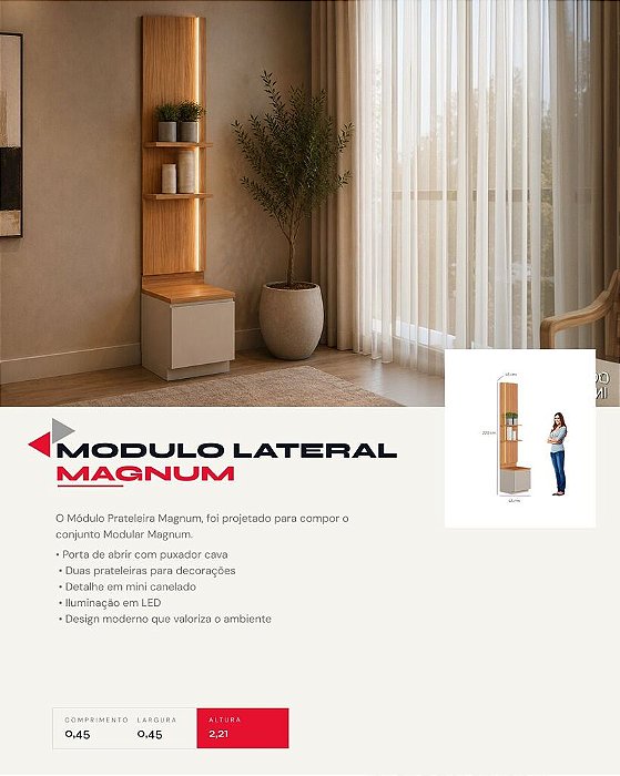 MODULO LATERAL MAGNUM