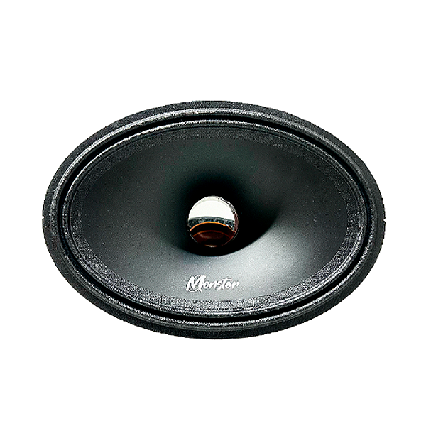 Reparo 6x9 220 RMS MT 1