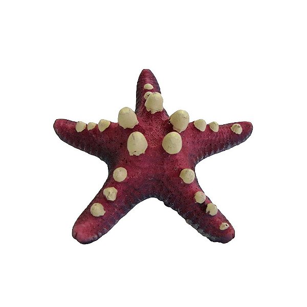 ENFEITE DE RESINA SOMA INVERTEBRADO ESTRELA SPOTTED ROSA