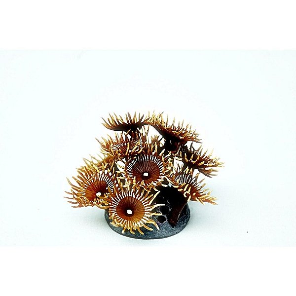 ENFEITE DE SILICONE SOMA CORAL ZOANTHUS DOURADO 02
