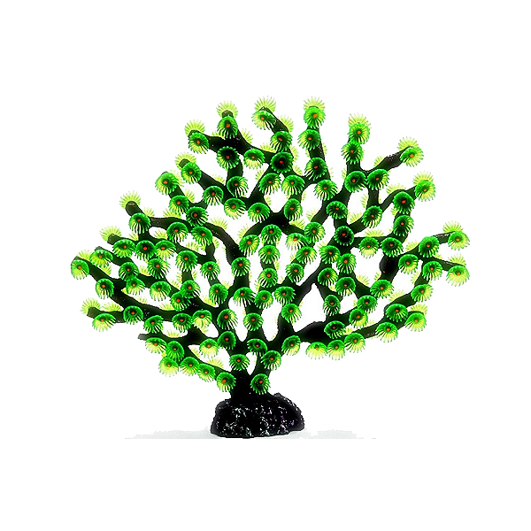 ENFEITE DE SILICONE SOMA INVERT GORGONIA FLORIDA VERDE