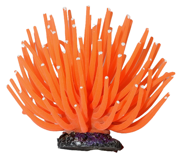 ENFEITE DE SILICONE SOMA ANEMONA SHORT LARANJA  6 CM