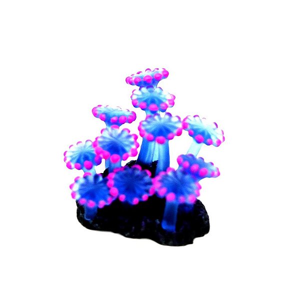 ENFEITE DE SILICONE SOMA CORAL ZOANTHUS PALITHOA AZUL