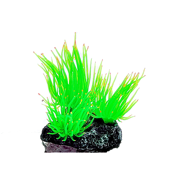 ENFEITE DE SILICONE SOMA ANEMONA LONG TENTACLE VERDE - MULTI