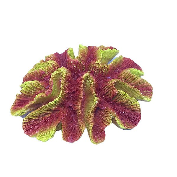 ENFEITE DE RESINA BOYU CORAL CEREBRO OPEN LARANJA (CW-40)