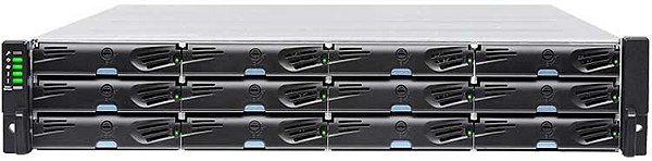 ESDS1012G Infortrend - Storage SAN iSCSI/FC/SAS Gen2 12 baias