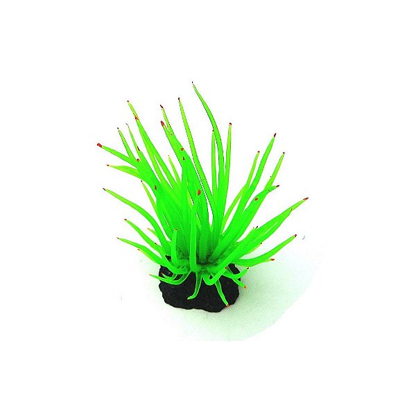 ENFEITE DE SILICONE SOMA ANEMONA LONG TENTACLE VERDE